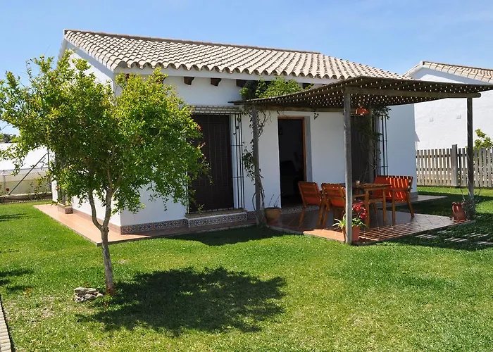 El Olivo Conil Conil De La Frontera