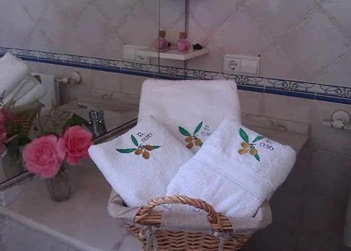 Hotel El Olivo Conil 3*